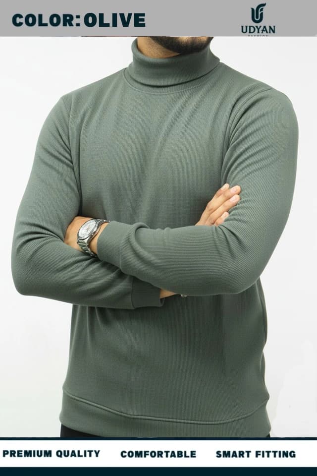 smart people wearing OLIVE COLOR HIGH NECK SWEATER